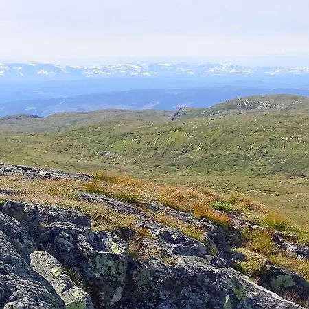 Holiday Sanderstolen Golsfjellet
